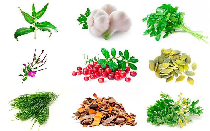 rimedi popolari per il trattamento della prostatite